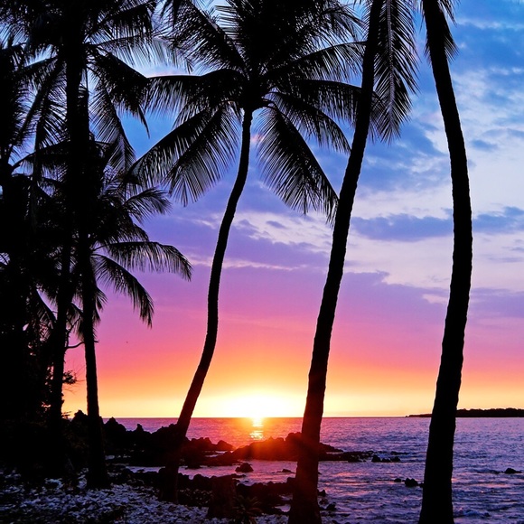 Meet 💕hawaii_aloha💕 - Picture 2 of 6